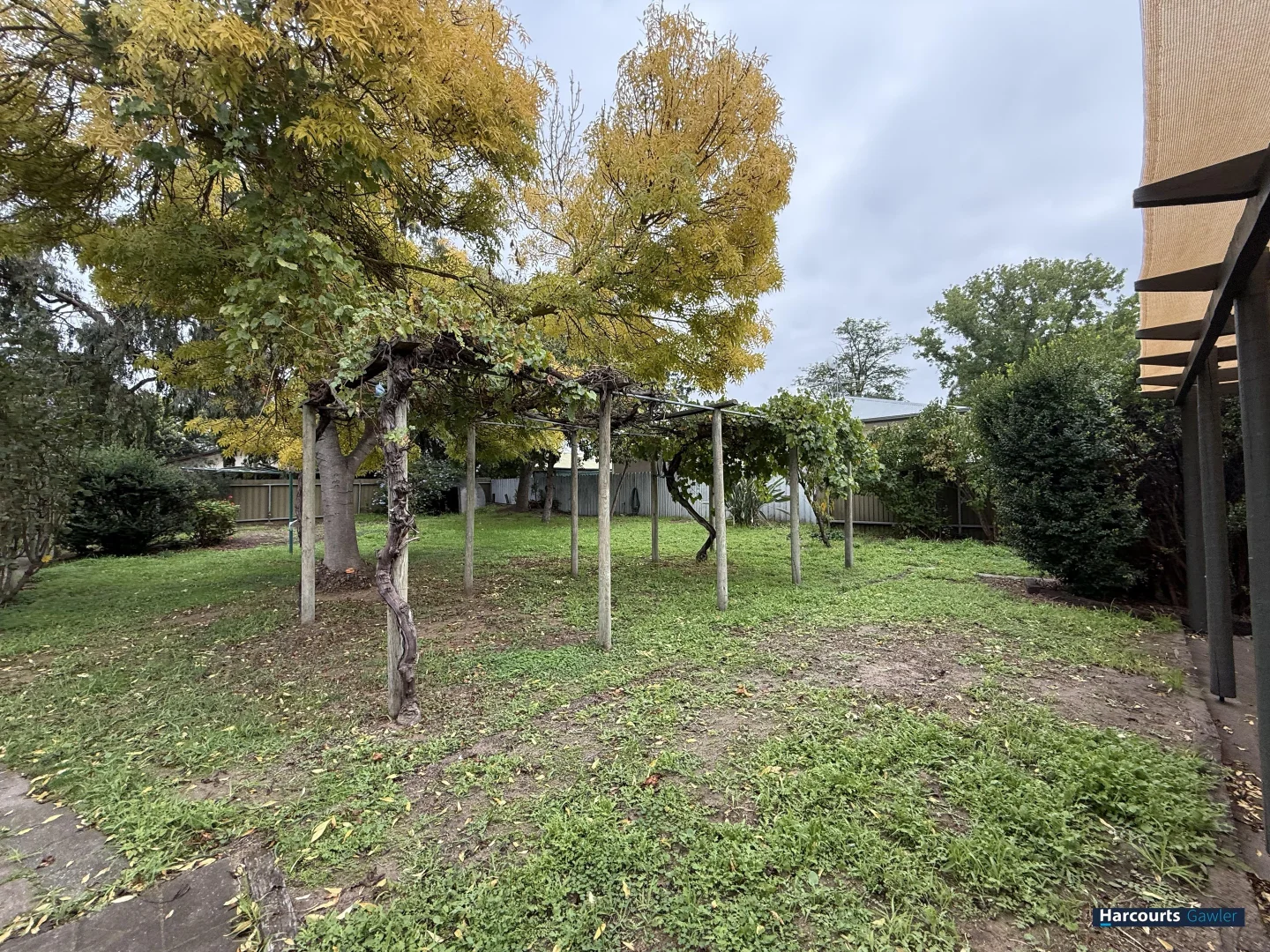 Additional image 13 of 77 Murray Street, Nuriootpa SA 5355