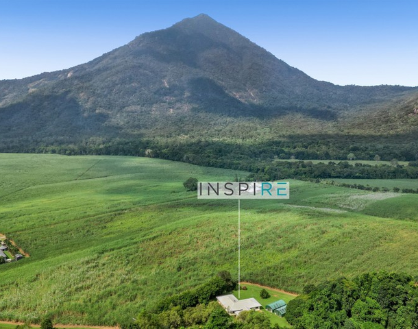 167 Gillies Range Road, Gordonvale QLD 4865