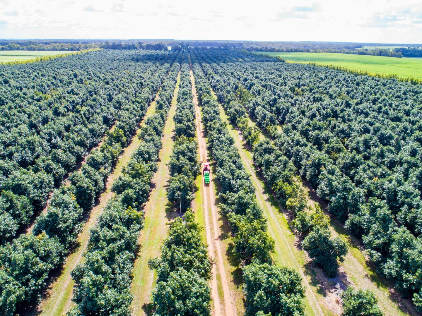 Farnsfield QLD 4660 House for Sale Domain