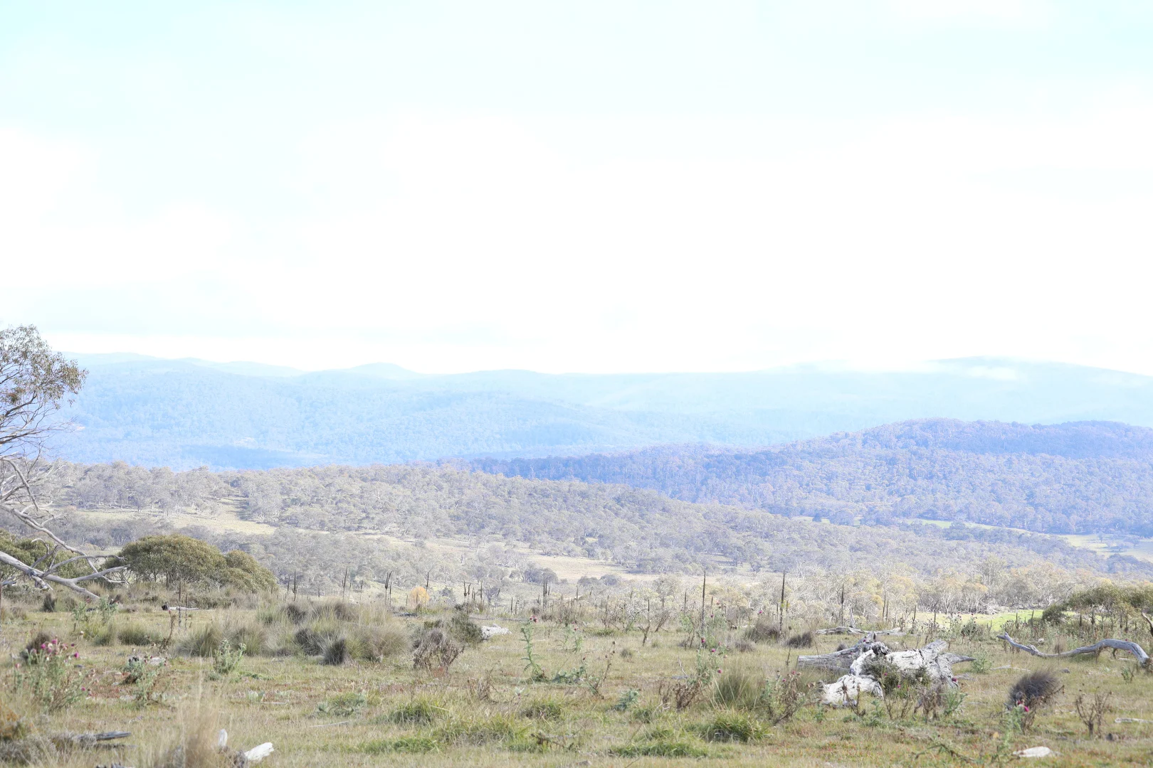 Image 13