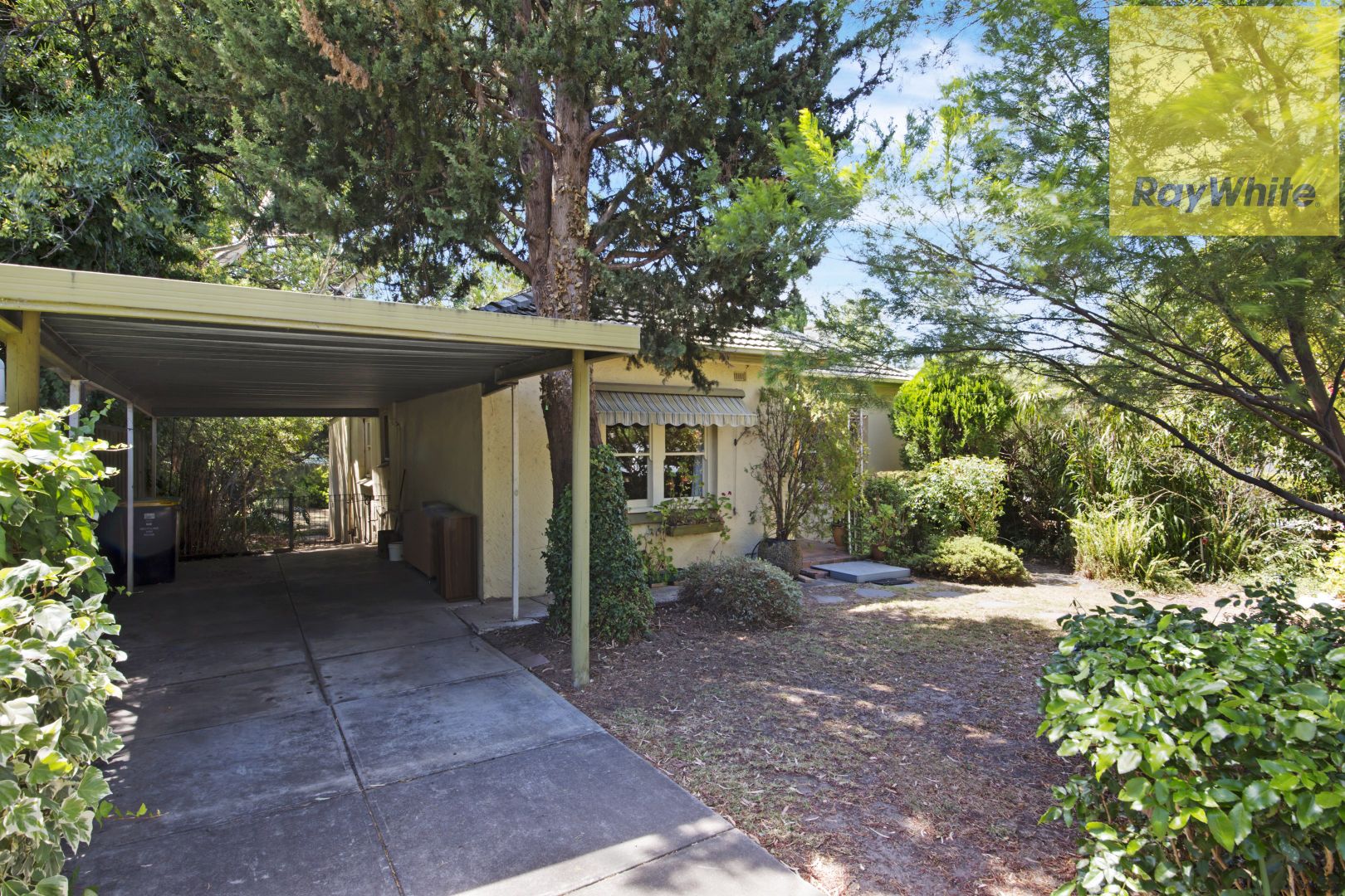 13 Lerwick Avenue, Hazelwood Park SA 5066, Image 2