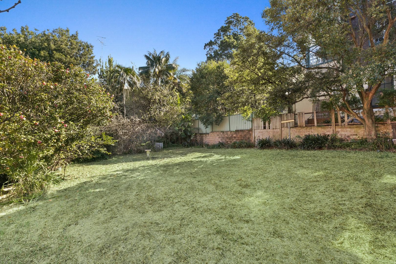 74 St Marks Road, Randwick NSW 2031, Image 2