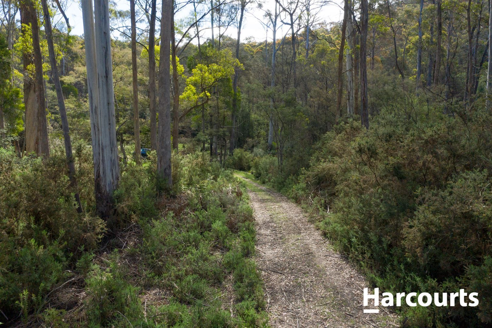 Lot 3 Mole Creek Road, Needles TAS 7304, Image 2