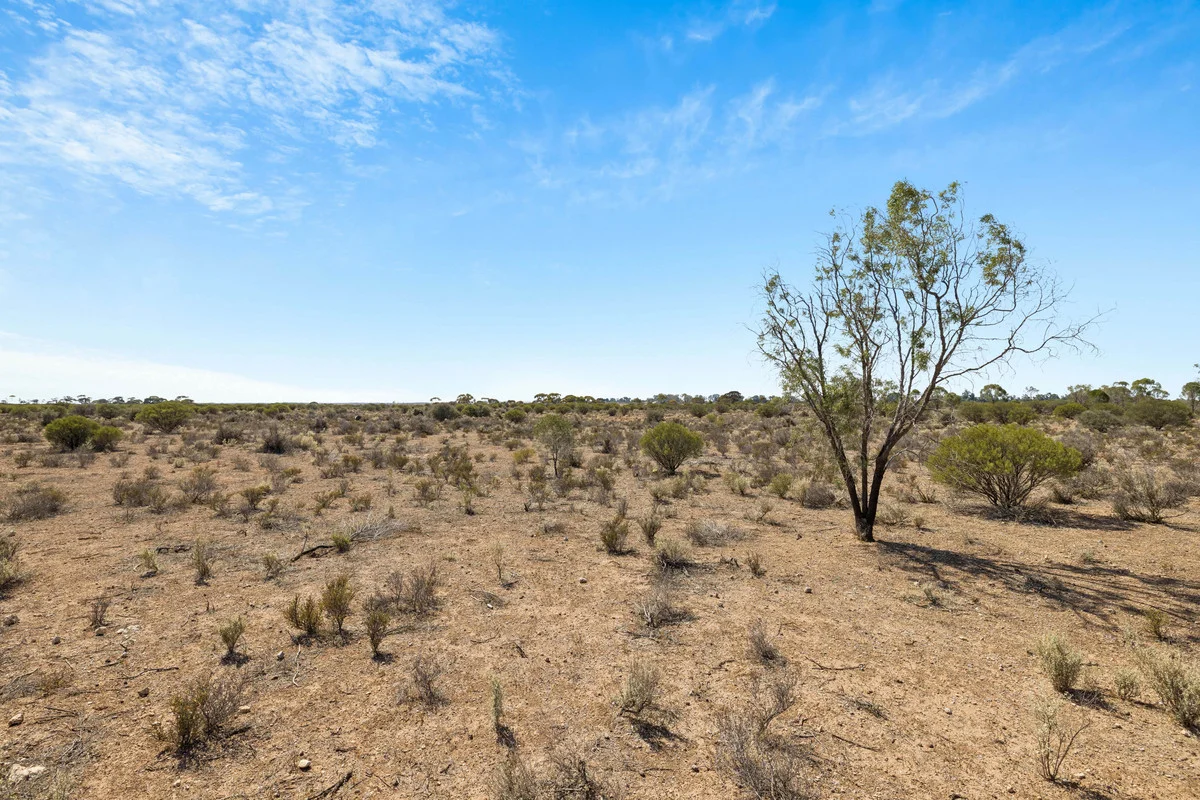 Additional image 21 of 9 Mallee Acres Road, Fisher SA 5354