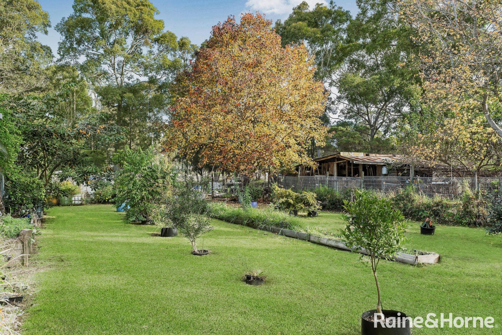 44 Hillcrest Ave, South Nowra NSW 2541, Image 2