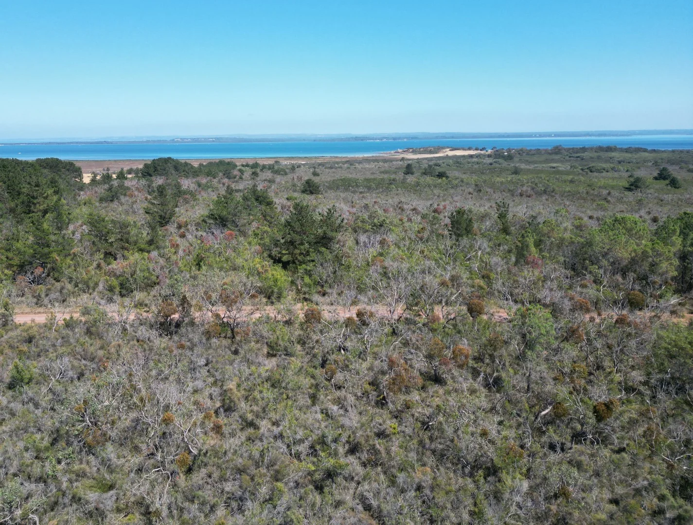 Lot 581 Fifth Street, French Island VIC 3921