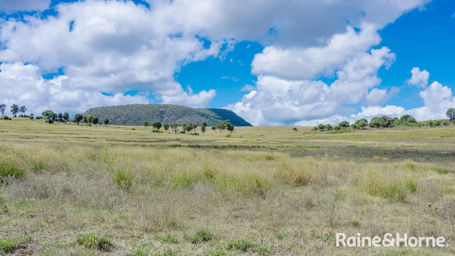 Additional image 20 of 104 Gillespie Road, Freestone QLD 4370