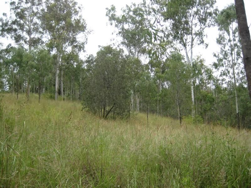 MOOLBOOLAMAN QLD 4671, Image 0