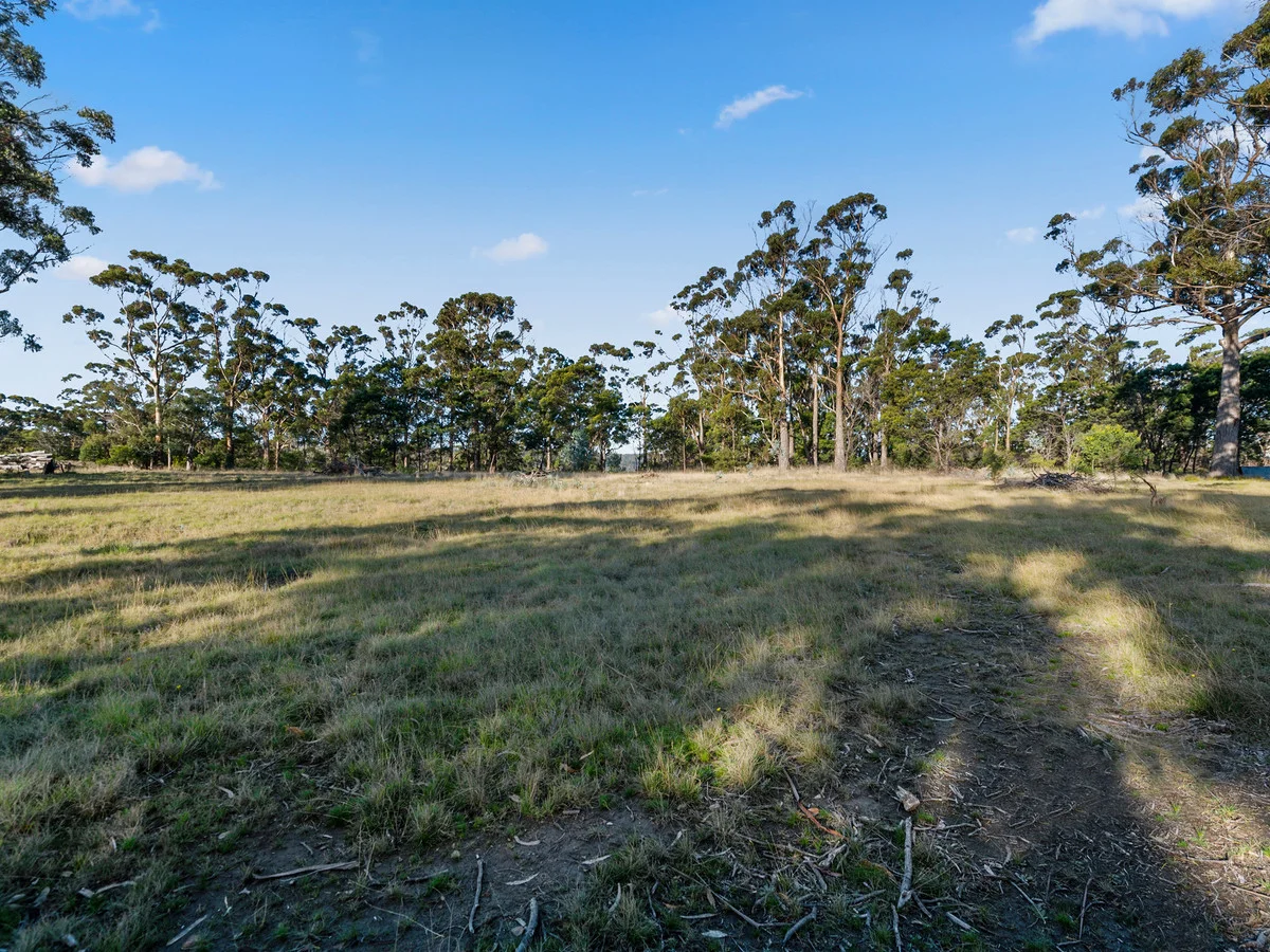 Image 13