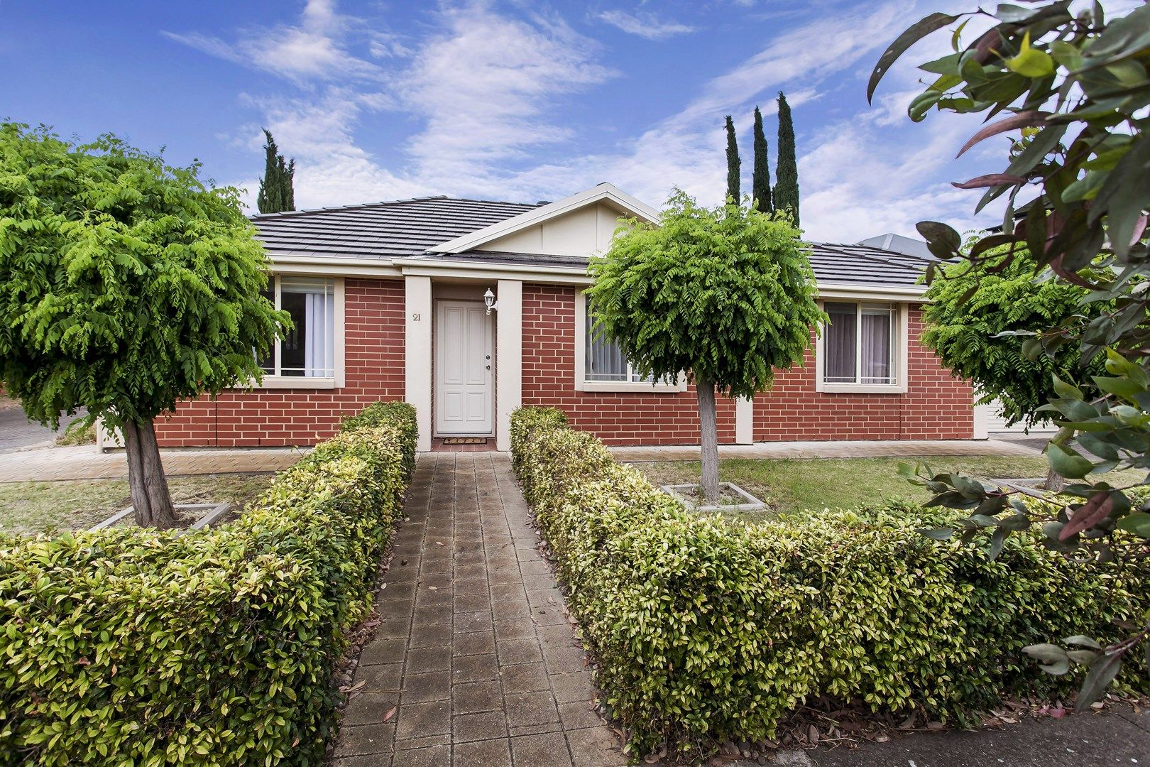 21 Daisy Avenue, Mitchell Park SA 5043, Image 0