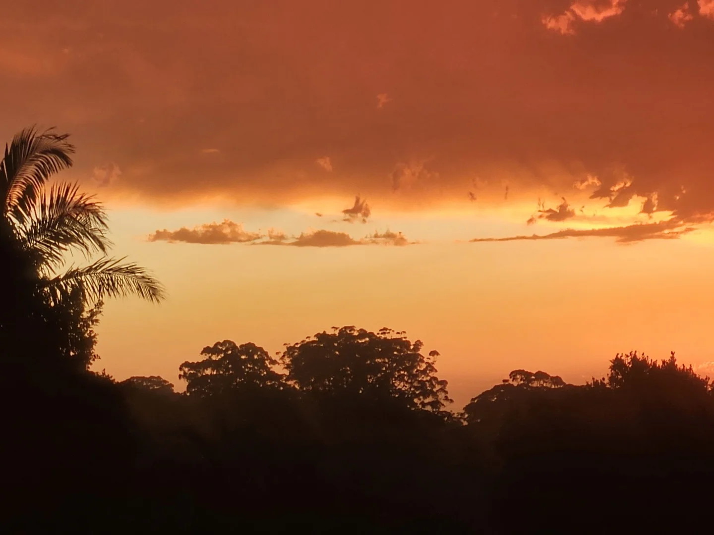 Additional image 9 of 320 Coolgaride Road, Coolgardie NSW 2478