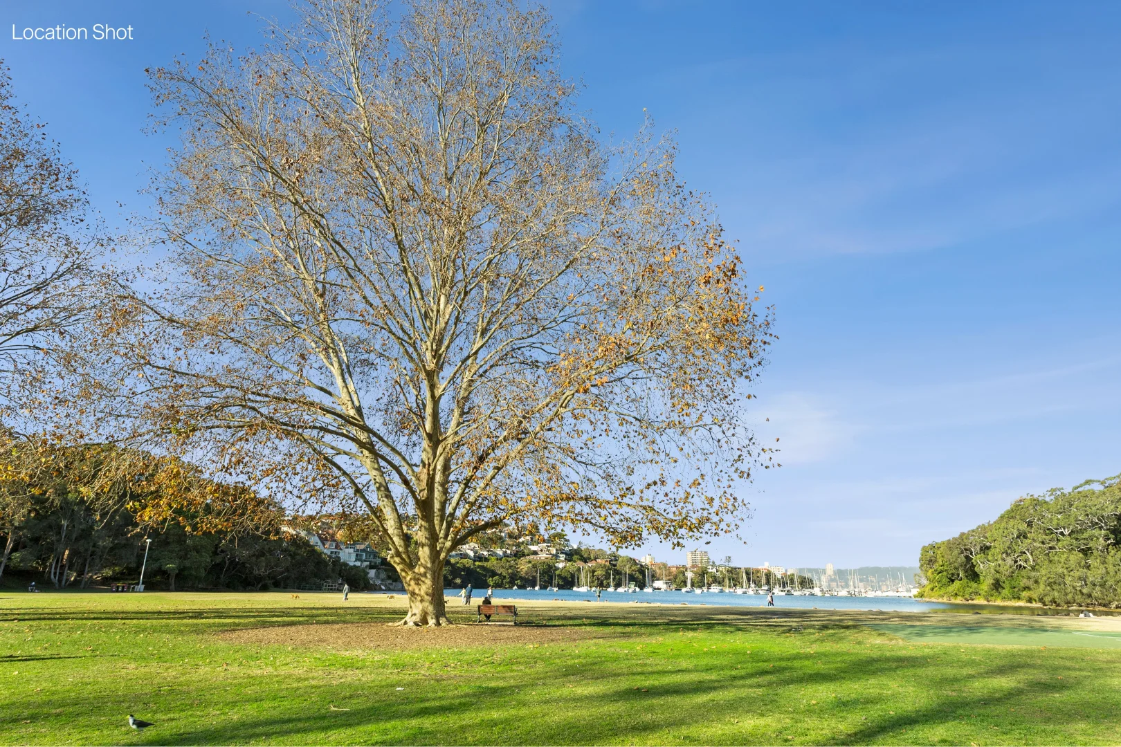 Additional image 19 of 105/2 Sylvan Avenue, Balgowlah NSW 2093