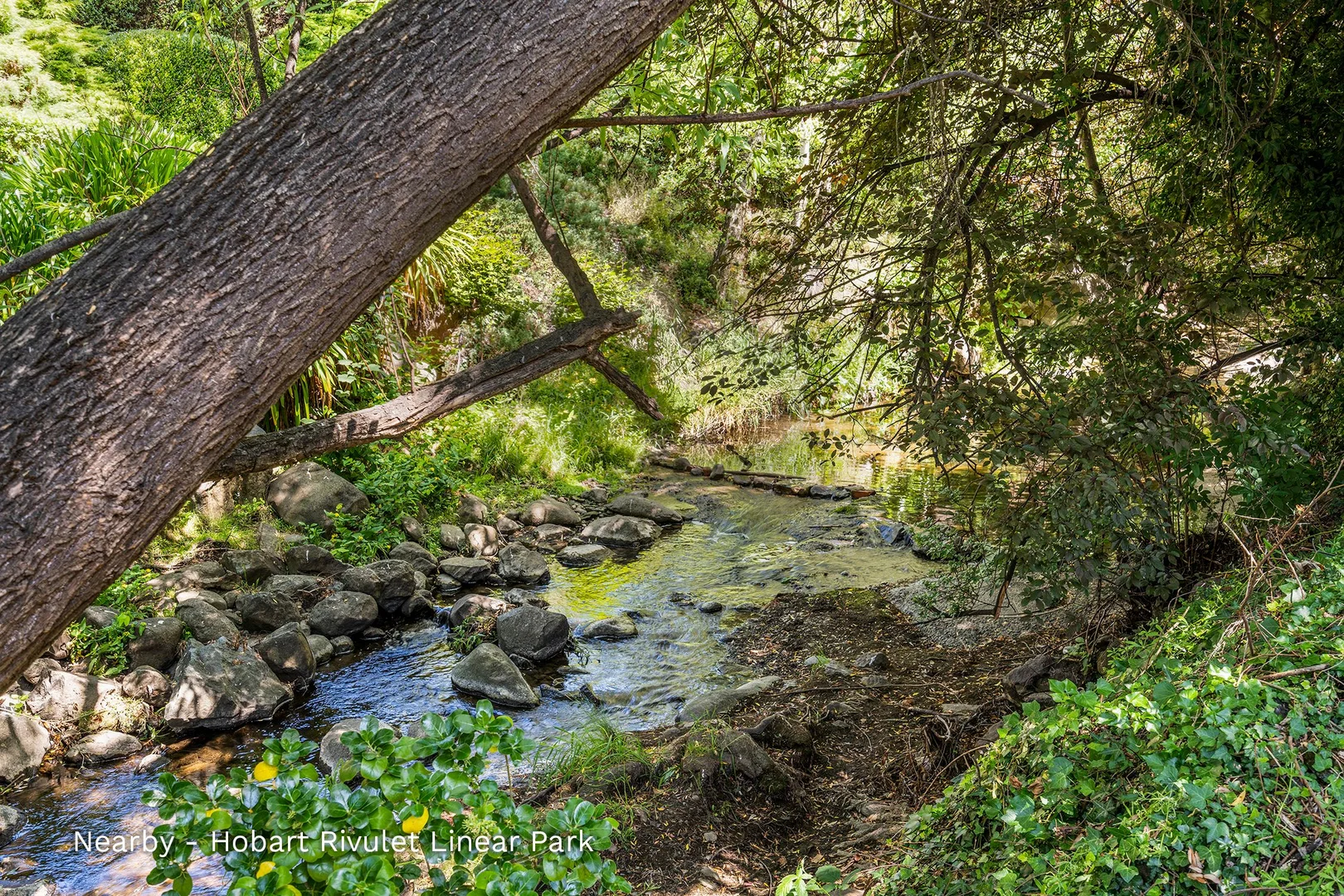 Image 15