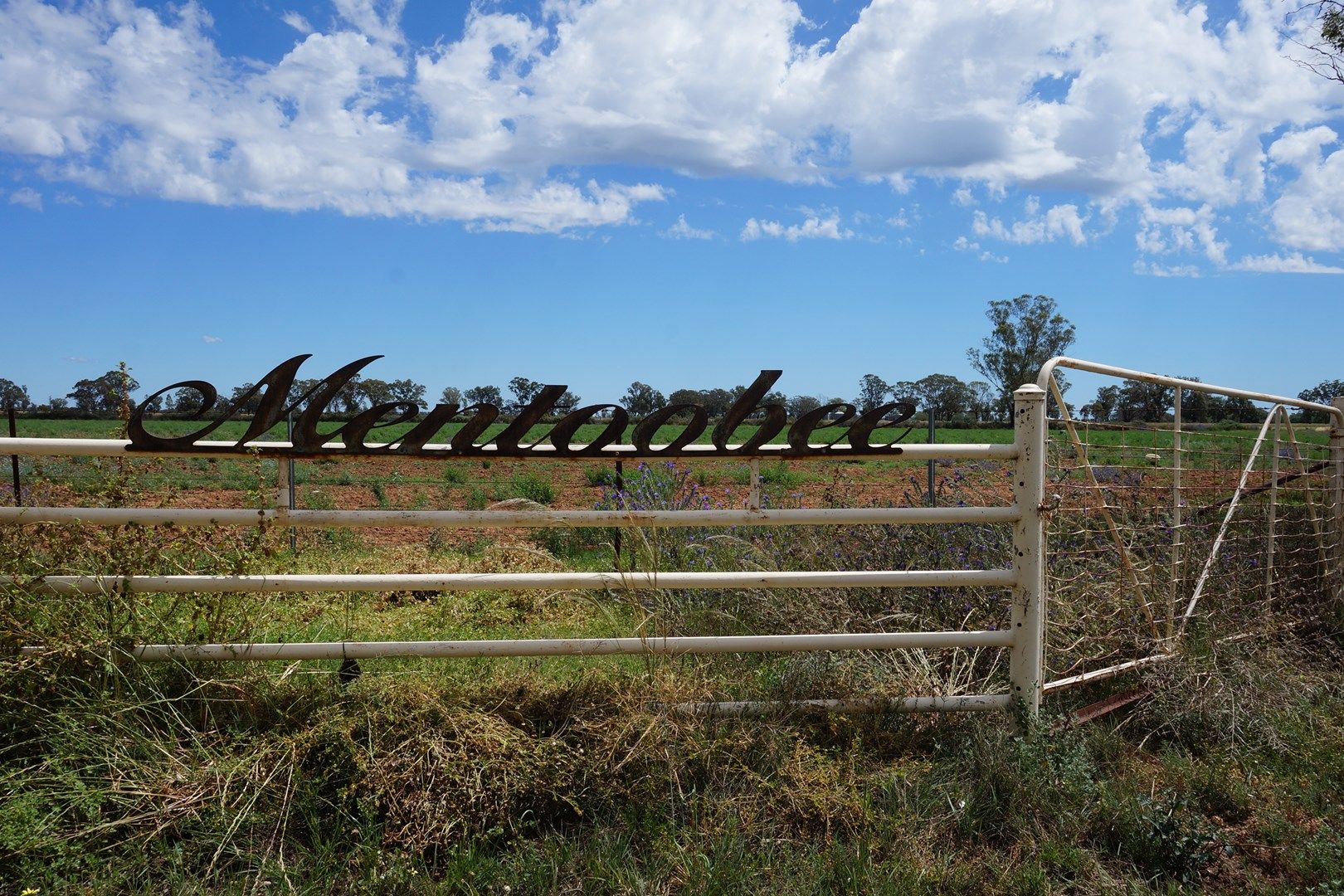 311 Ceres Siding Road, Narromine NSW 2821, Image 0