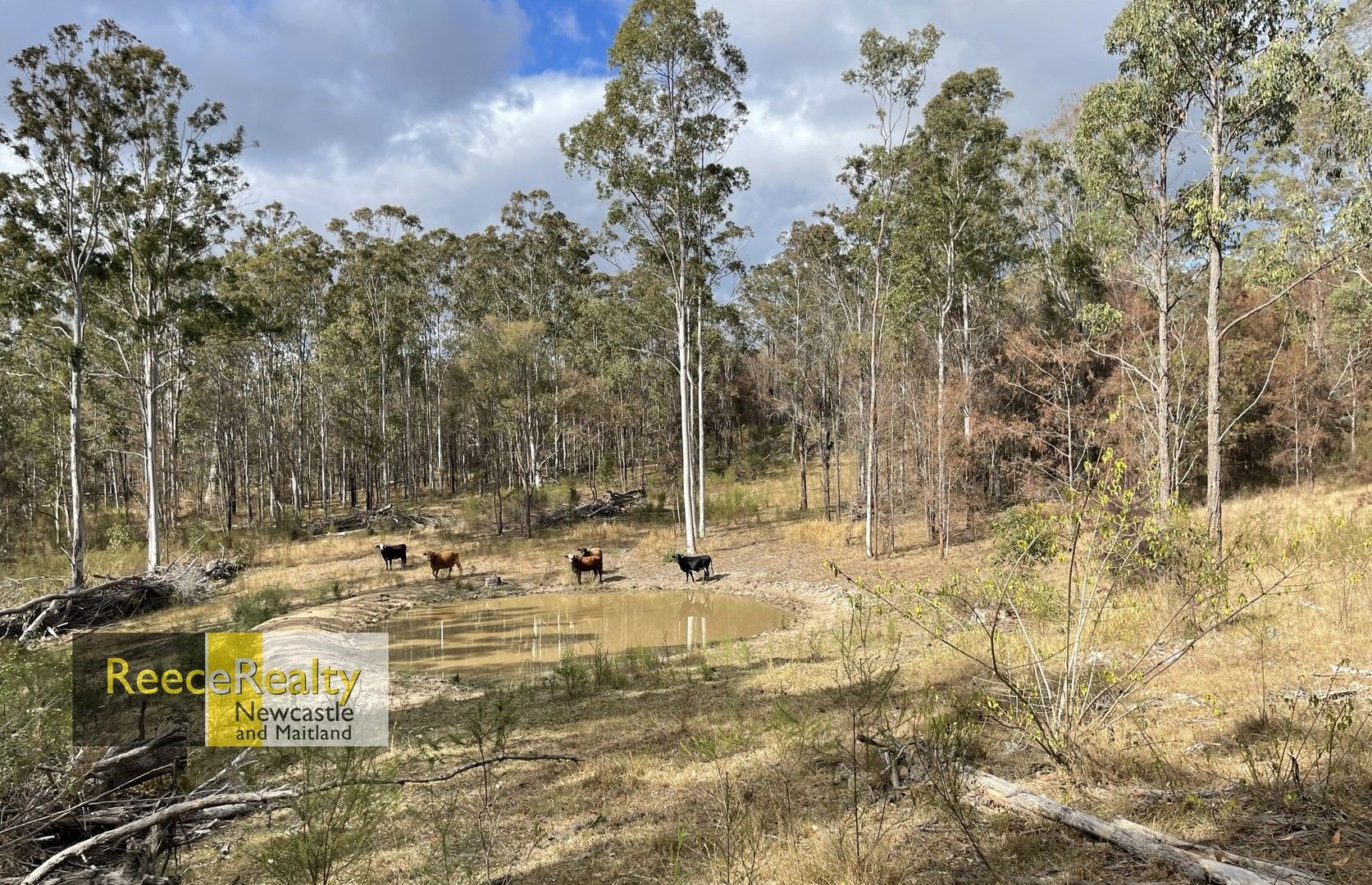 Lot 597 Willi Willi Road, Temagog NSW 2440, Image 0