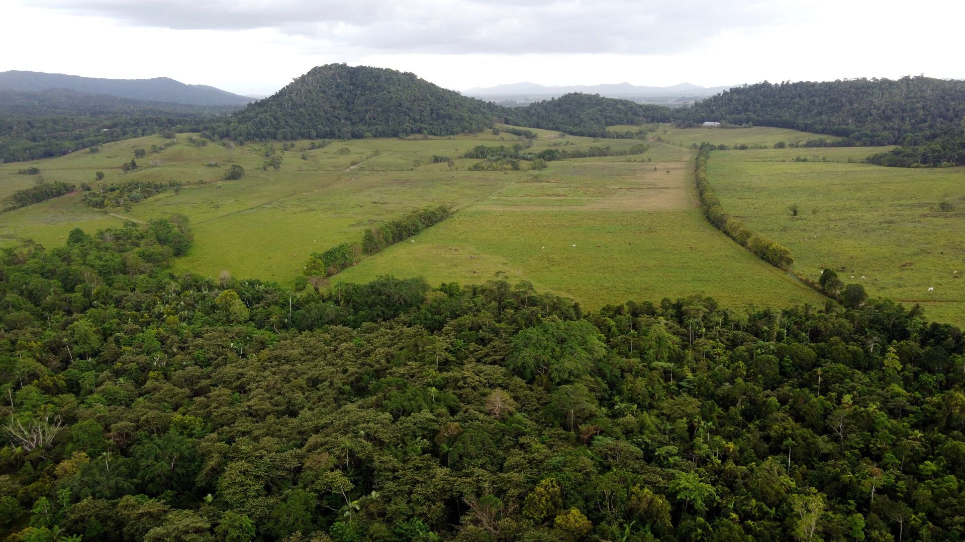 Cowley QLD 4871 House for Sale Domain