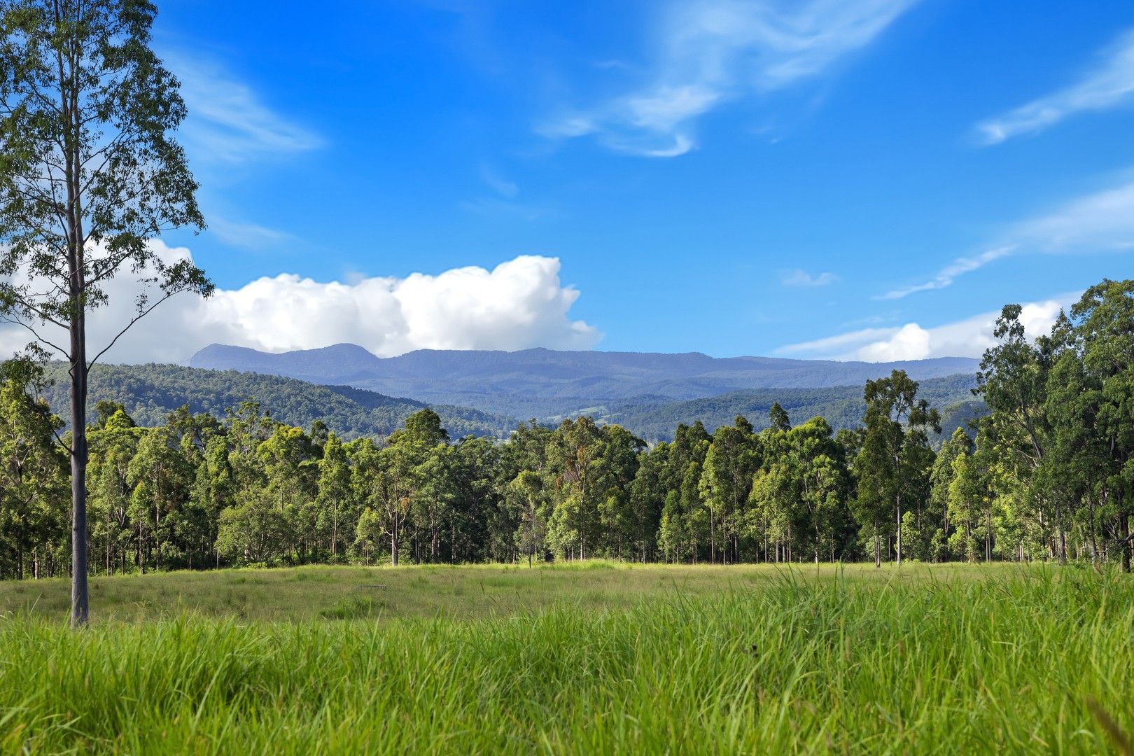 Lot 6269 Duck Creek Road, Old Bonalbo NSW 2469 House for Sale