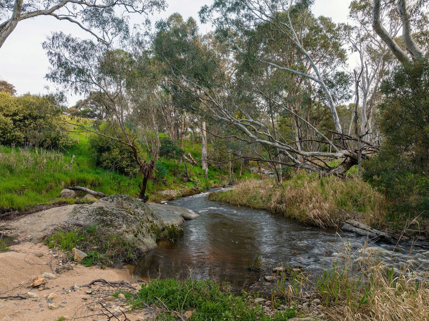 1881 Euroa-Mansfield Road, Euroa VIC 3666, Image 2