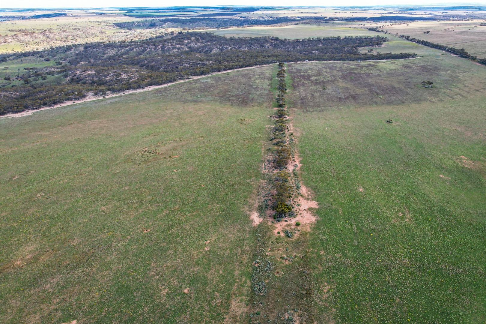 Section 201, 368, 36 Schwertie Road, Black Hill SA 5353 Farm for Sale