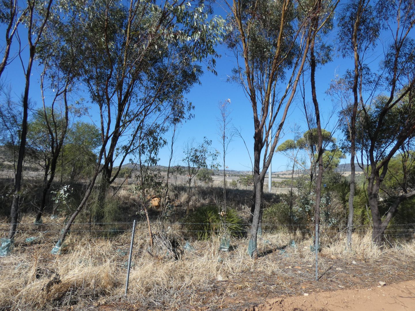 16 Tomkins Bend, Nunile, Toodyay WA 6566, Image 2