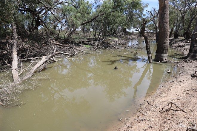 Picture of 10491 Lachlan Valley Way, CONDOBOLIN NSW 2877