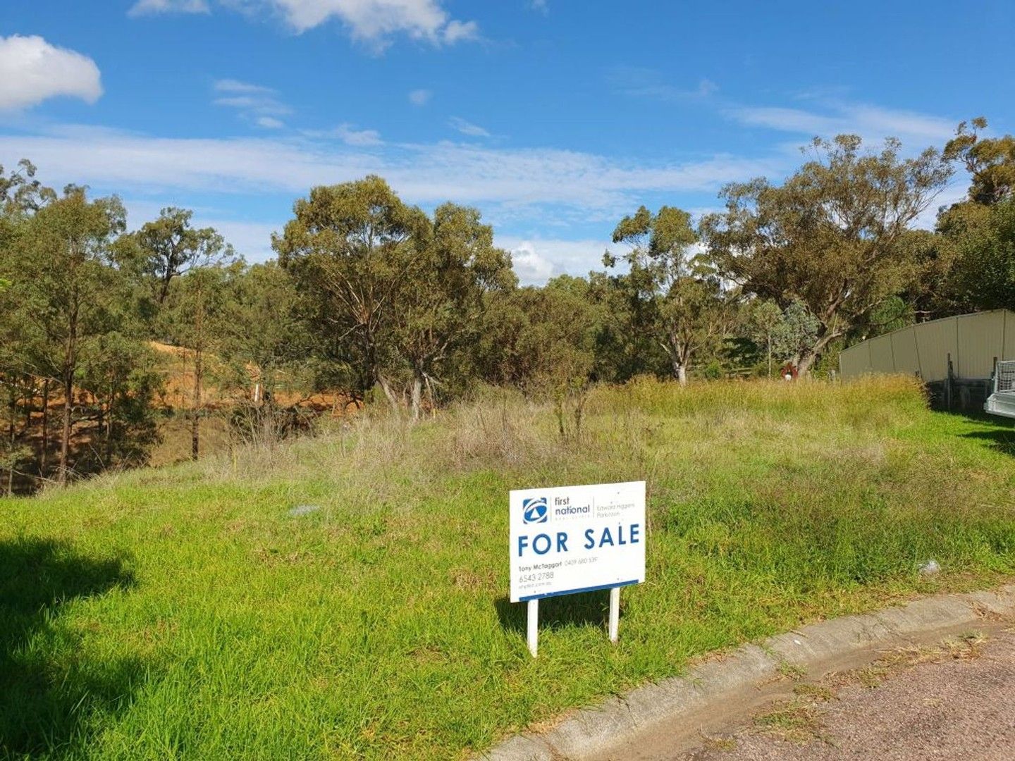 25 Northerly Close, Muswellbrook NSW 2333, Image 0