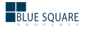 Blue Square Property Syd's logo
