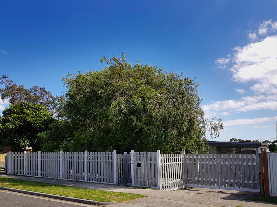 350 Golf Links Road, Baxter VIC 3911 House For Rent Domain