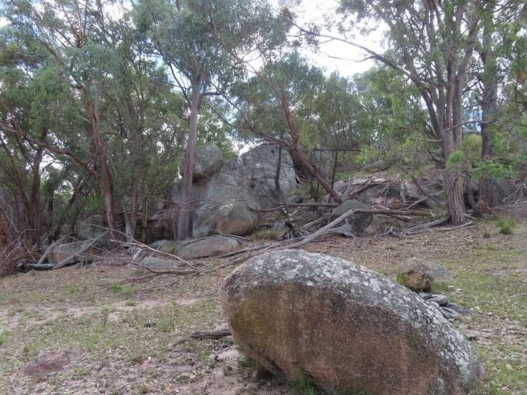 Image 6