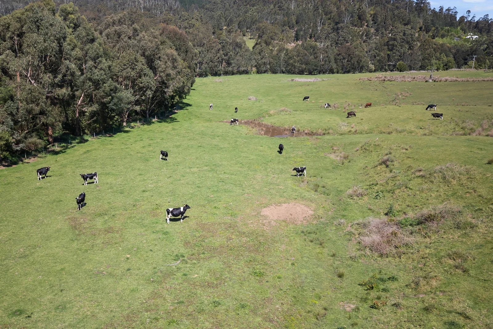 Additional image 48 of 1430 Traralgon Creek Road, Koornalla VIC 3844