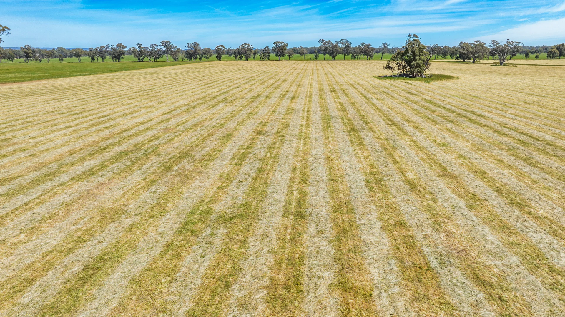 Additional image 18 of Lot 1 Boorhaman-Springhurst Road, Springhurst VIC 3682