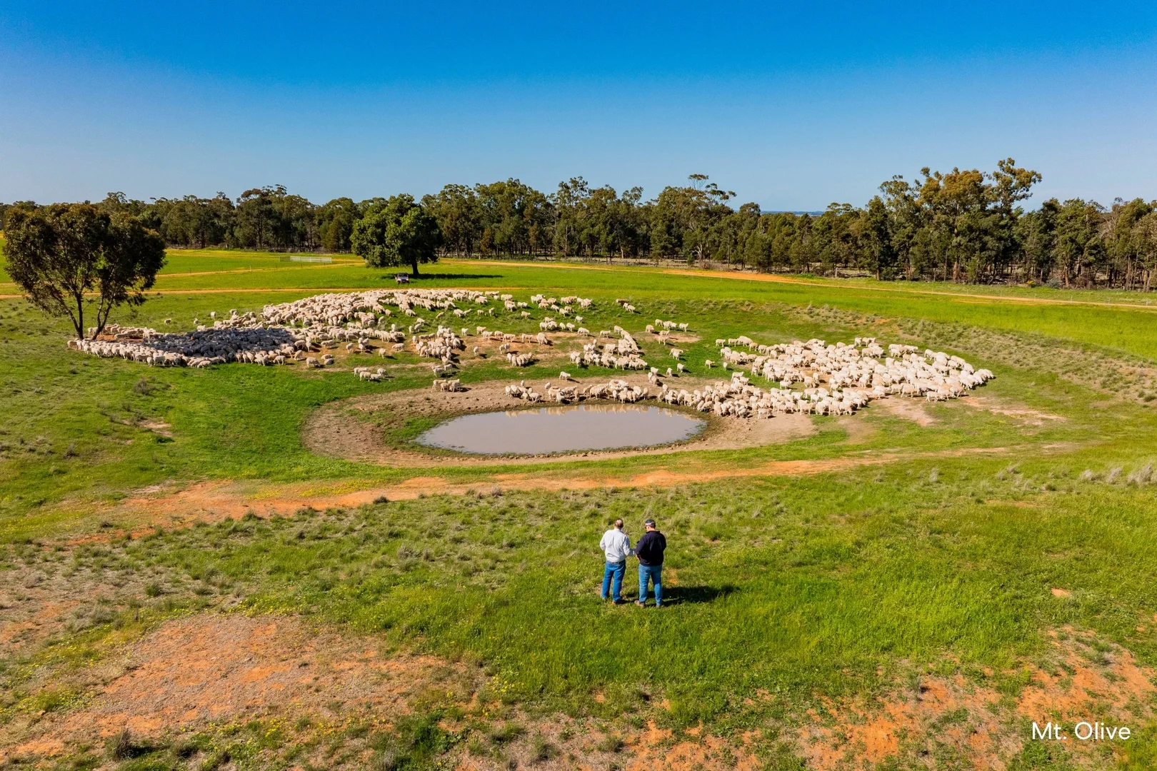 Additional image 18 of Kamarah Road, Narrandera NSW 2700
