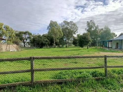 Image 20