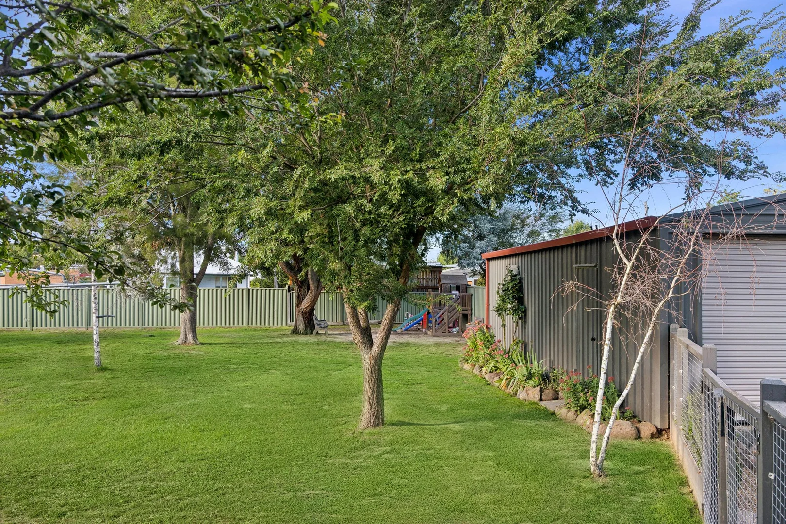 Image 14