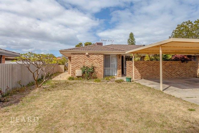 Picture of 16A Trusmore Crescent, CRAIGIE WA 6025