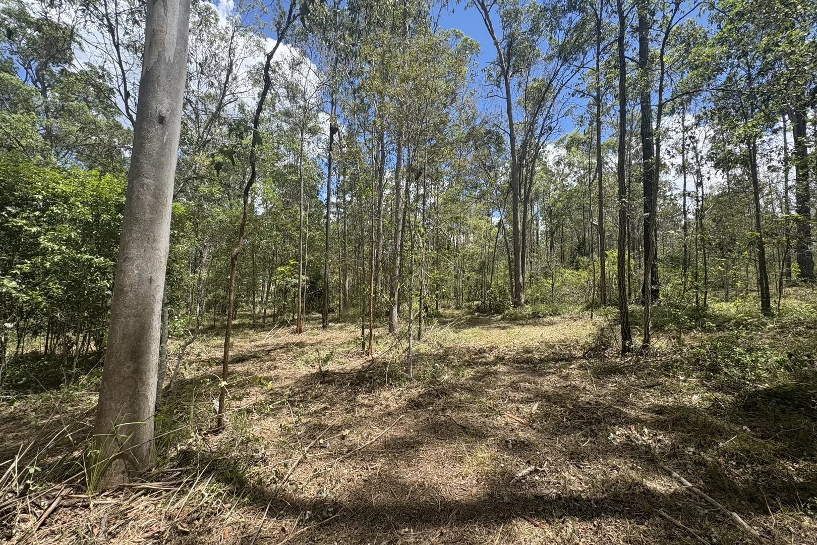 Additional image 13 of Lot 532 Arbornineteen Road, Glenwood QLD 4570