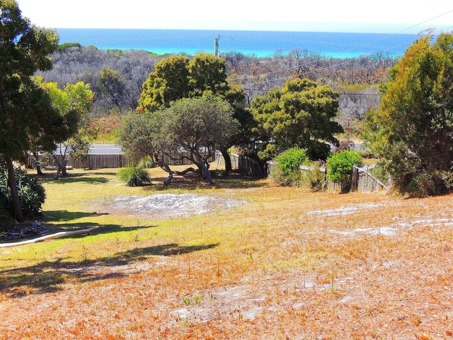 . Tasman Highway, St Helens TAS 7216, Image 1