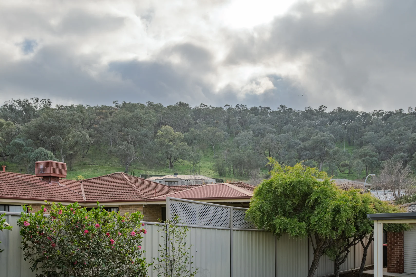 Image 18