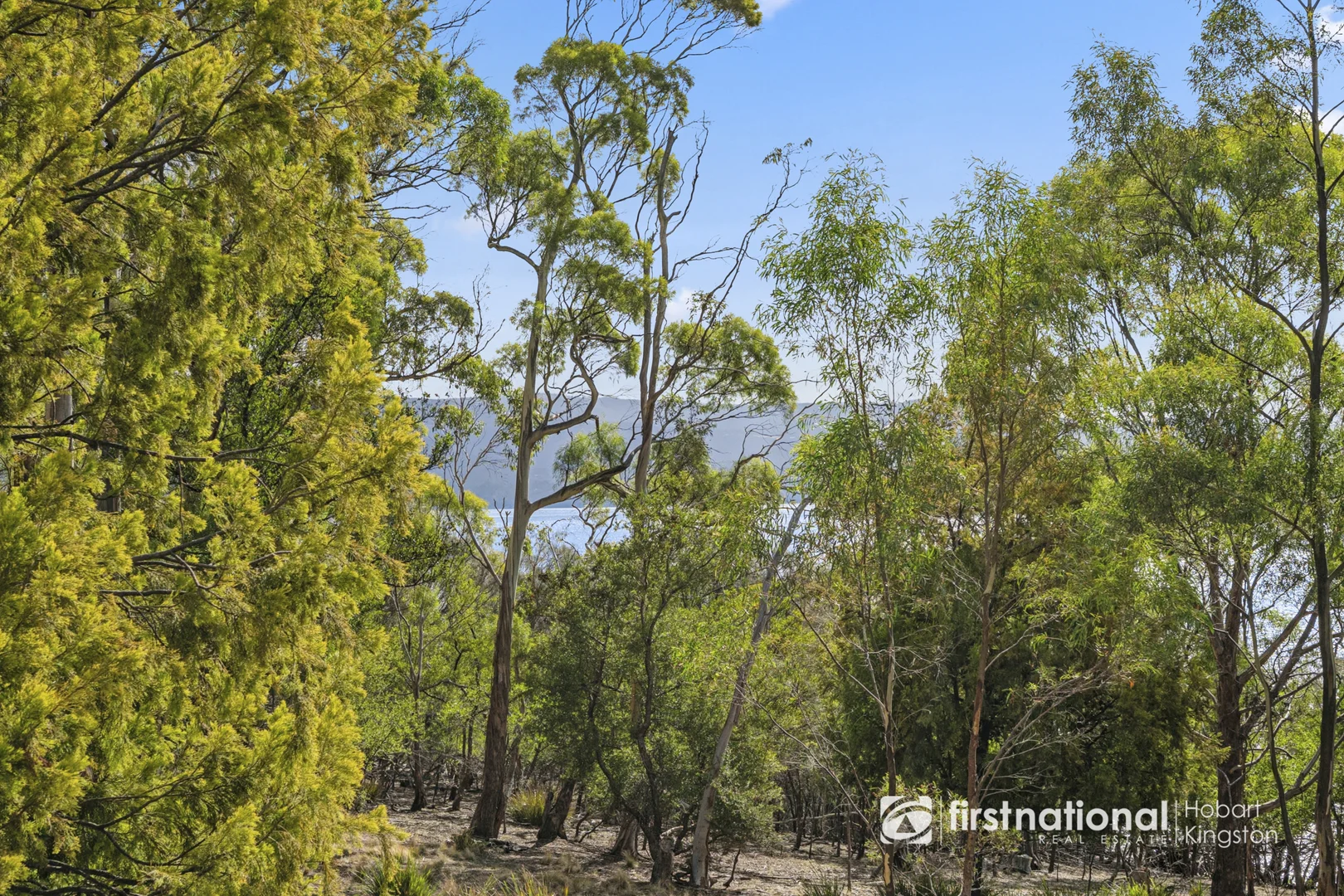 Additional image 26 of 234 Apollo Bay Road, Apollo Bay TAS 7150