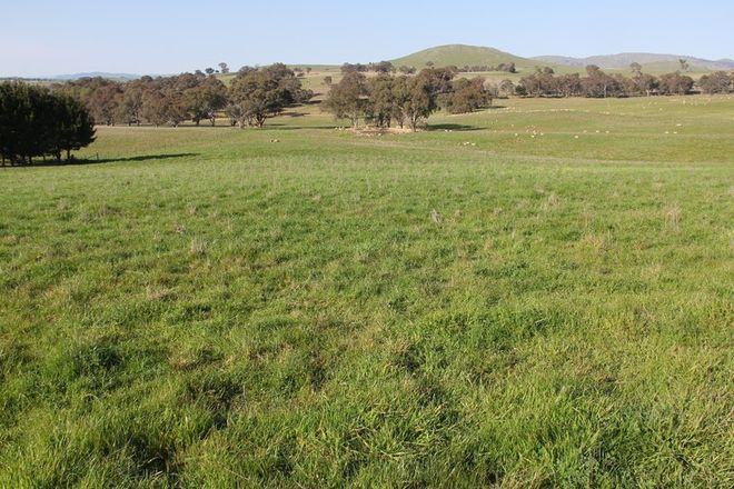 Picture of Lot/4 Garryowen Road, BINALONG NSW 2584