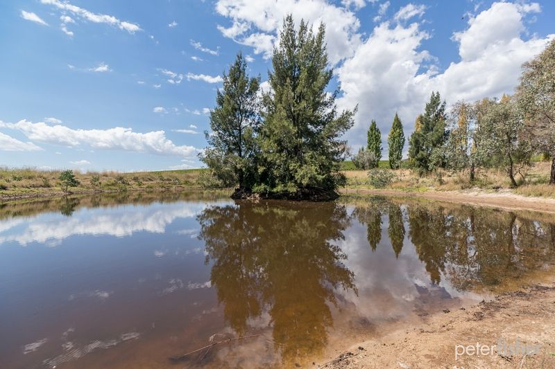 Lot 53 Bradley Road, Borenore NSW 2800, Image 2