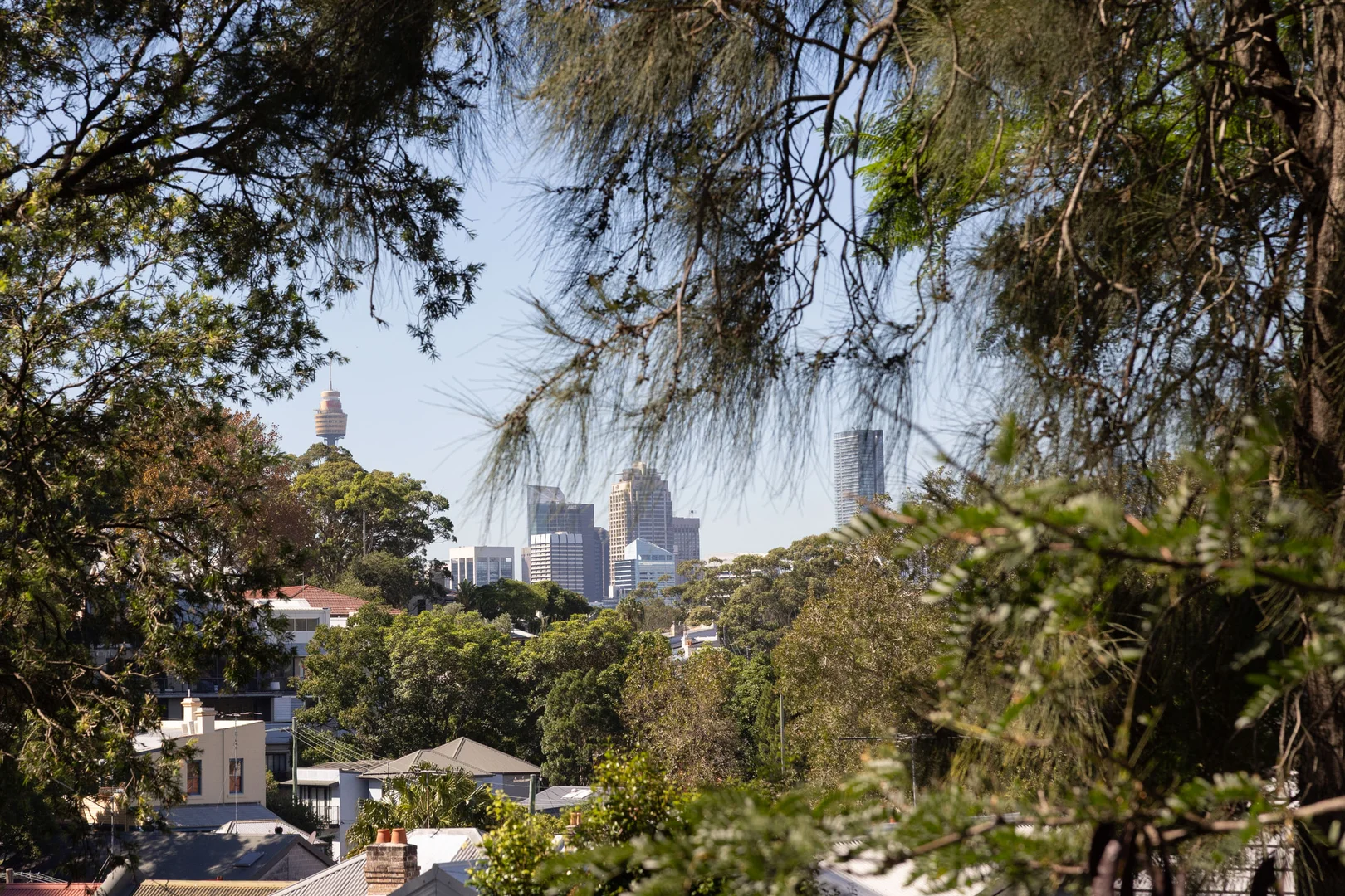 Additional image 9 of 1 Pashley Street, Balmain NSW 2041