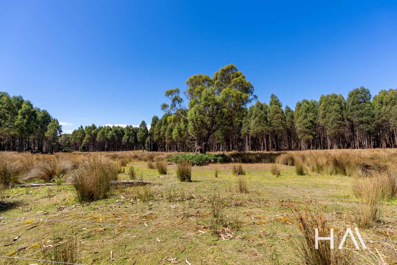 Lot 2 Bridport Road, Pipers River TAS 7252 House for Sale Domain
