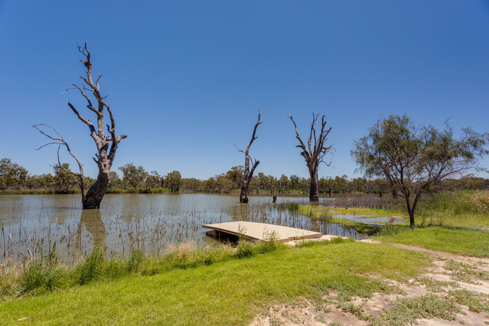 Site 15A Cobdogla Station Caravan Park, Cobdogla SA 5346, Image 1