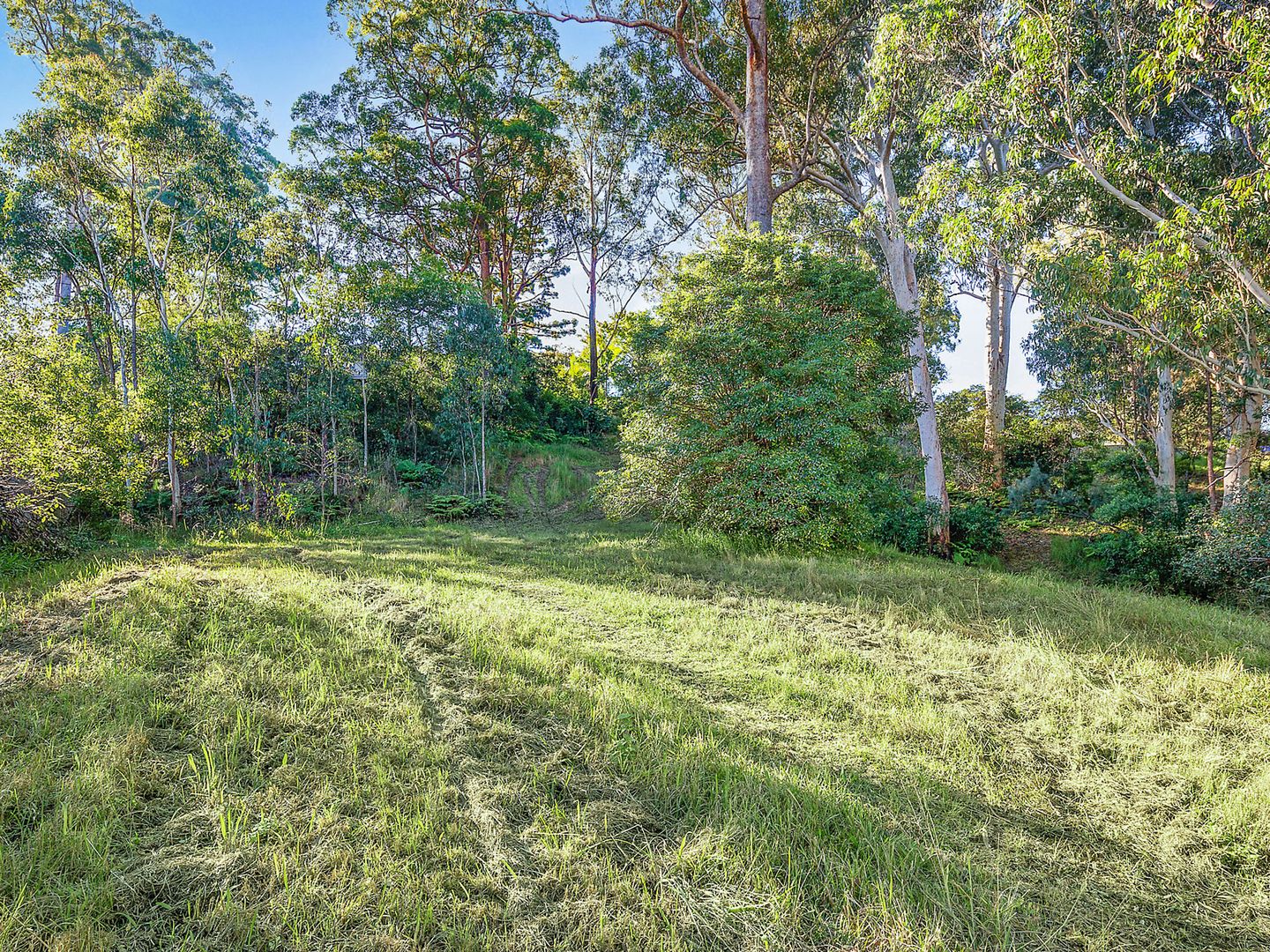 21 Grevillea Close, Nambucca Heads NSW 2448, Image 2