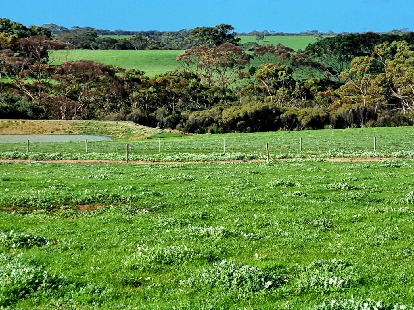 Image 15