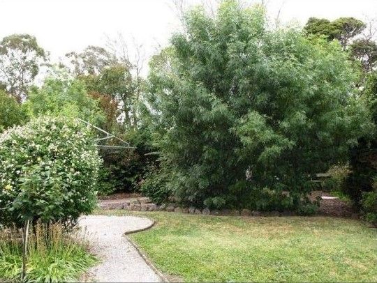 5 Dublin Road, Ringwood East VIC 3135, Image 1