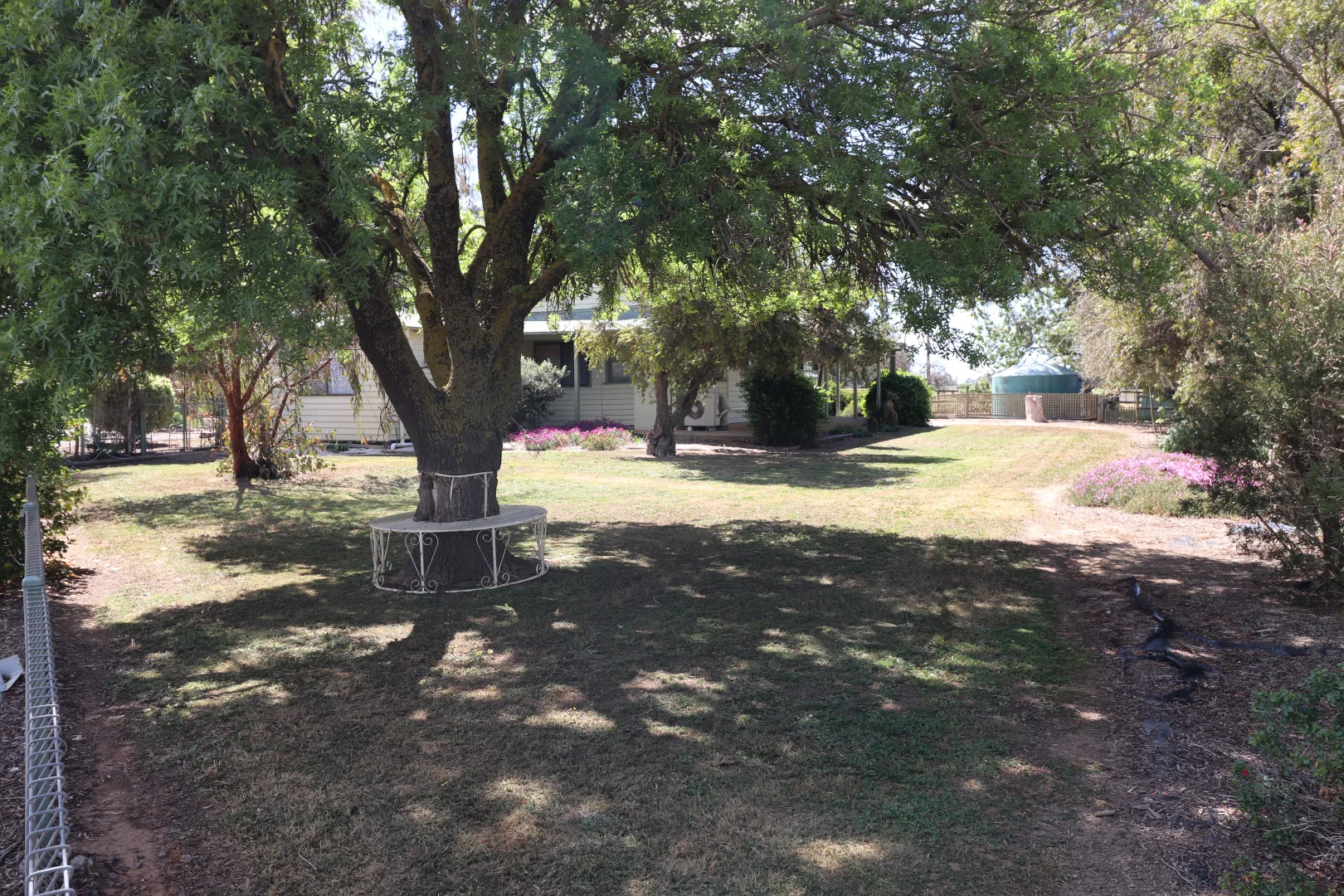 Image 13