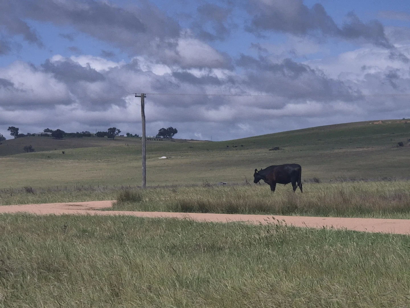 Additional image 15 of Cottage 5/116 Montavella Road, Gormans Hill NSW 2795