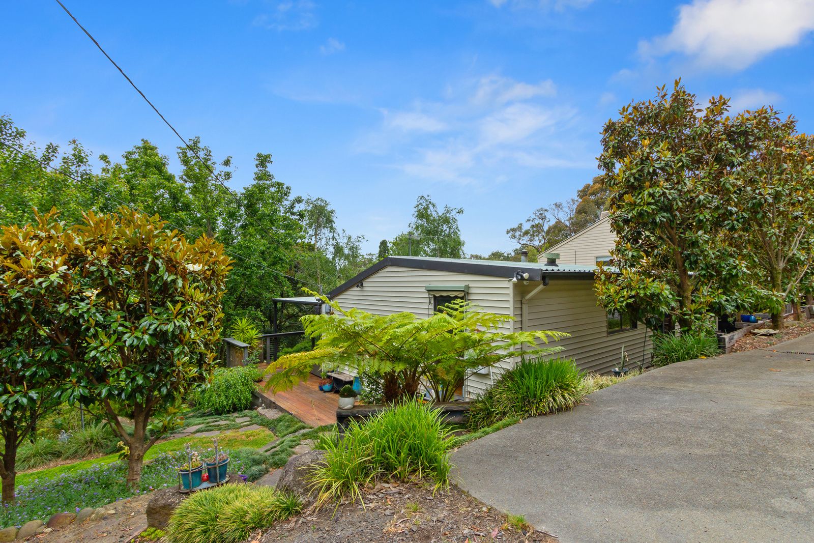 17 Old Forest Road, The Basin VIC 3154, Image 0